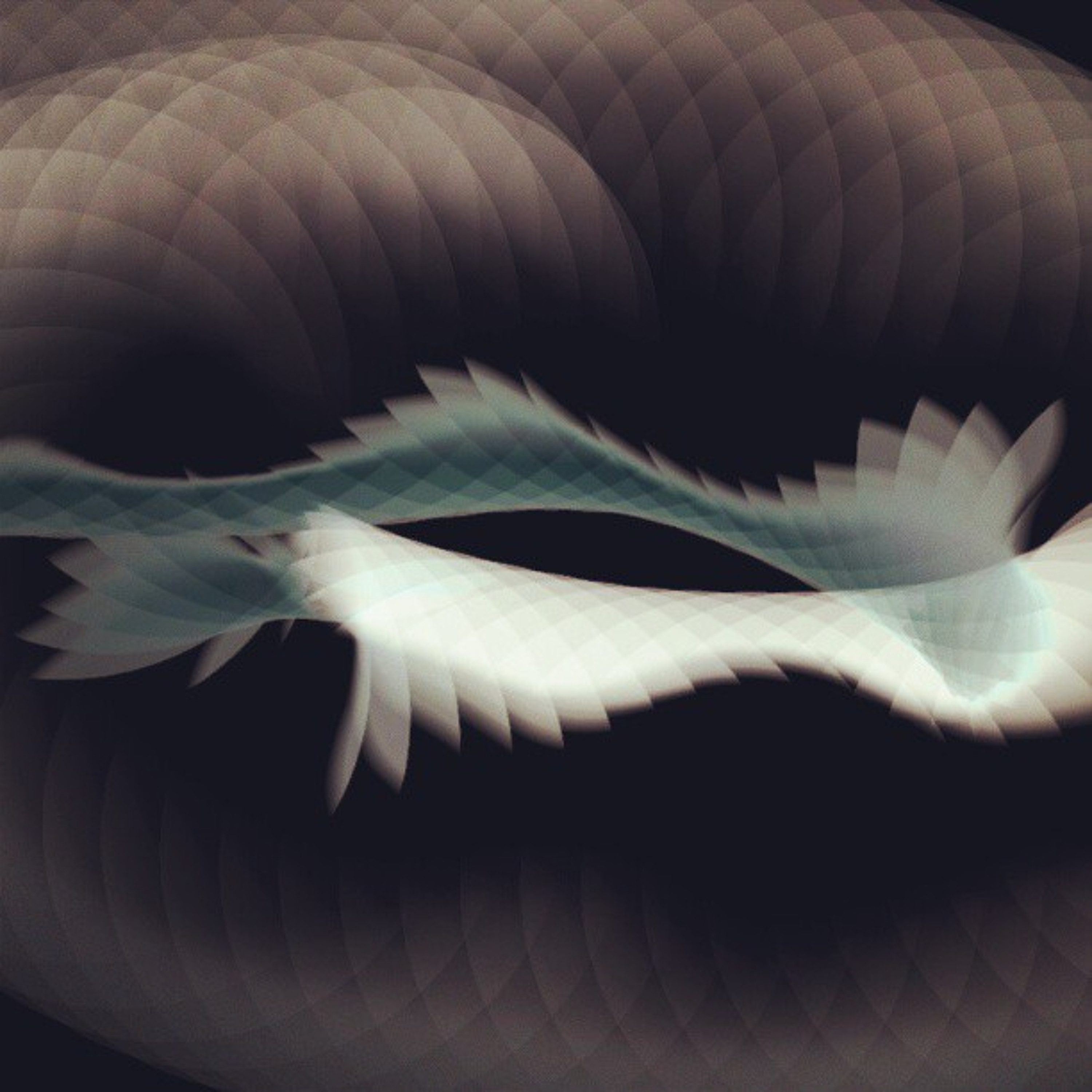 Turtle Snake episode artwork