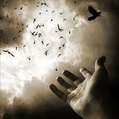 Chris FloRipper - Fly Away