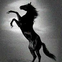 Dark Horse (Bassboylowg Version)