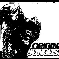 Full metal junglist (Original MIx)