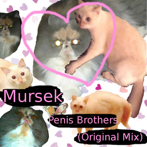 artworks-000076279397-dat6zq-t500x500.jpg?77d7a69