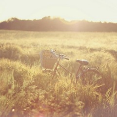 Goldsby - Summer Essentials