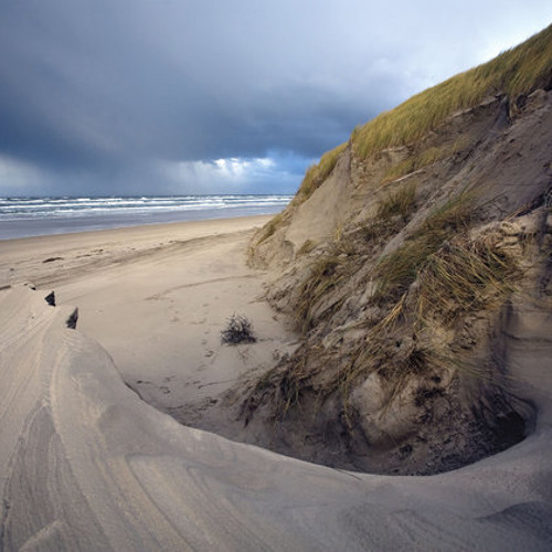 Terschelling EP - Stepsek