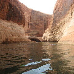 Wake Up (When I'm Dead)