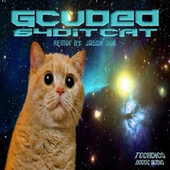 64 Bit Cat (Jason DuB's Liger Remix) SC Edit