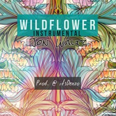 Jon Waltz - Wildflower instrumental w/Hook (Prod. @DENZO700)