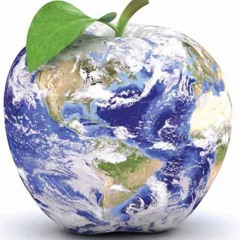 (Changes)  Lost Mindz 2002 Chucc Bales Kaoes LoC ,C