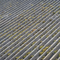 Document 1 - Huw Roberts - 2011