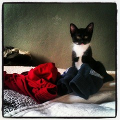 You Only Think You Want More (Robert Jones cover)