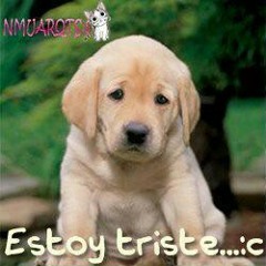 Distancia_Guerrerense_una_adventura_medium.mp3