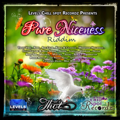 PURE NICENESS RIDDIM  OFFICIAL MIXTAPE (LEVELS CHILLSPOT)