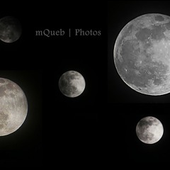 Everybody's Changing (Cover)