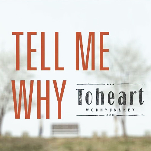 Toheart (Key & WooHyun) - Tell My Why