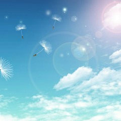 一人有一个梦想