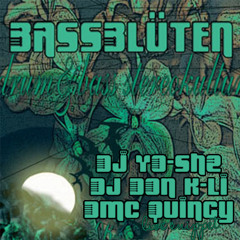 Yo-She & Don K-Li feat. DMC Quincy live snippet @ Bassblüten, 2004