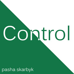 Pasha Skarbyk - Control (Original mix)