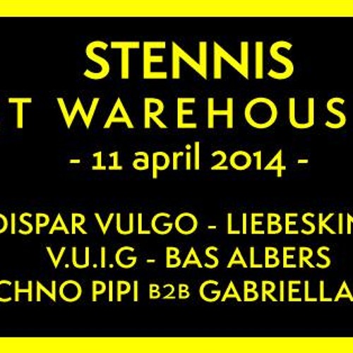 BAS ALBERS @ STENNIS SECRET WAREHOUSE RAVE 2014.