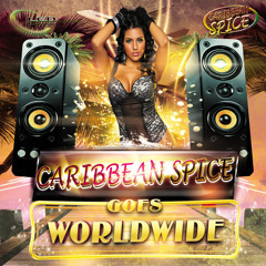 Caribbean Spice Oh Bits