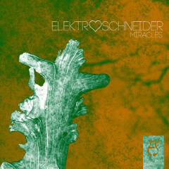 Elektroschneider - Miracles (free download)