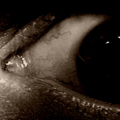 Wees niet bang - Brainpower & Freek de Jonge (Chillzz RMX)