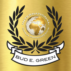 GANJA PHENOMENON DUB PLATE MIX - BUD E. GREEN