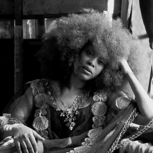 Michael Anthony|| Erykah Badu - Didn't Cha know/Time Machine