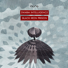 Black Iron Prison (out now on Acre Recordings)