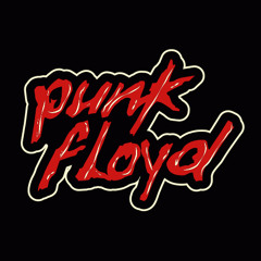 Punk Floyd - 2008-01-26 - Live PA @ Plastic - Absurd Groove, Krakow, Poland