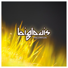 Pollenflug (Club Mix)