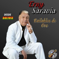 ERNY SARAVIA-MIX CUMBIAS DEL RECUERDO