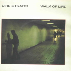 Walk of Life - Dire Straits ( Electro House Remix)
