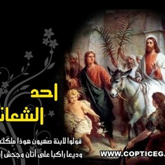 افلوجيمنوس- ماريو اميل