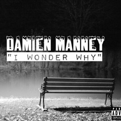 Damien Manney - I Wonder Why