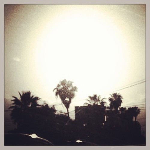 The Heavns - Thousand Summers