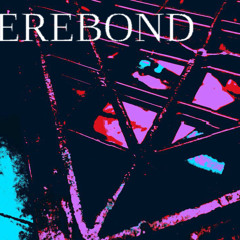 R͙̩̭̺̼͕̭͟͝O̷҉̗̟̫̹̥̜O͞͡͏͖̯̟͎͉̩͍̠̠̰̹̪̭͎̬T̴̡̹̹͖͍̞͓̞̼̖̜͓̩̙͕͕͉S̴̠̪̼̰̦̥̪̭̦̤̤͚̬̜̬̱̳̟̭͘͞ (Live a long time)