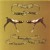 Artwork for Modest Mouse - Night On The Sun