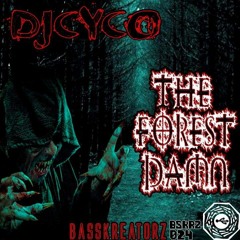 DjCyco - Start Sequence[BSKRZ024]