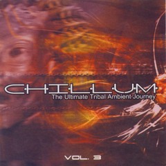 Space Buddha - Fly High (Chillum vol.3 2003)