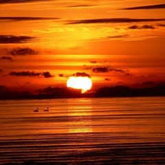 OLIVER SATIVA x LEET SEMER - THE SPIRIT OF THE ANCIENT