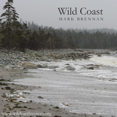 Wild Coast