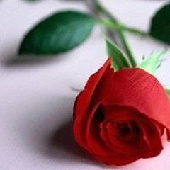 اغانى الكنج محمد منير