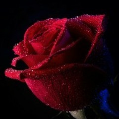 Zindagi Main Tu - Naeem Abbas Rufi