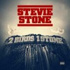 Stevie Stone X 2 Birds 1 Stone