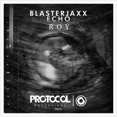 BLASTERJAXX - Echo (Roy Abutbul Bootleg) PREVIEW