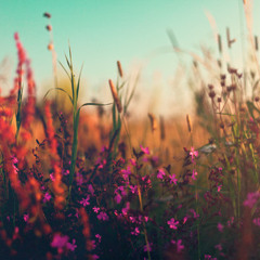 Ho Hey - The Lumineers Cover [Recorded Live]