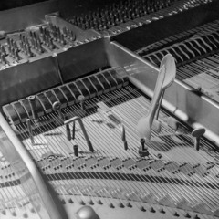 Ohmwerk - Covernight