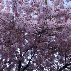 07 참 아름다워라