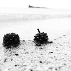 The Judgement - Reality (Original Mix)