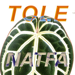 TOLE - NATFA
