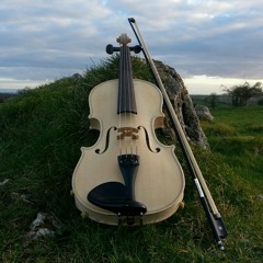 Enda Seery (Flute/Whistle) Paul Taaffe (Fiddle) John Owens (Guitar) Jigs The Battering Ram/ The Frieze Britches. at McGoverns Pub, Moyvalley, Co. Kildare.12/04/2014.